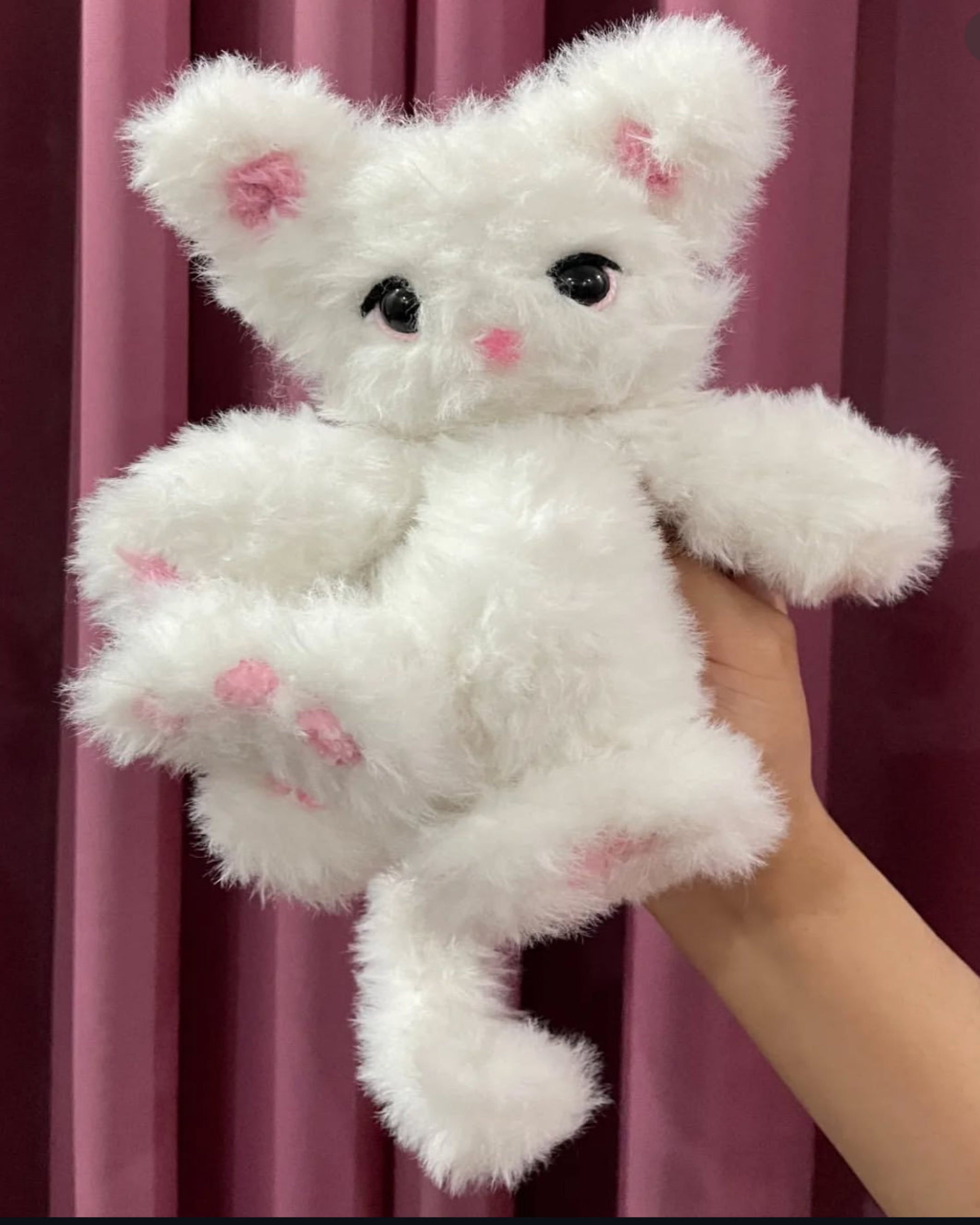 Kitty