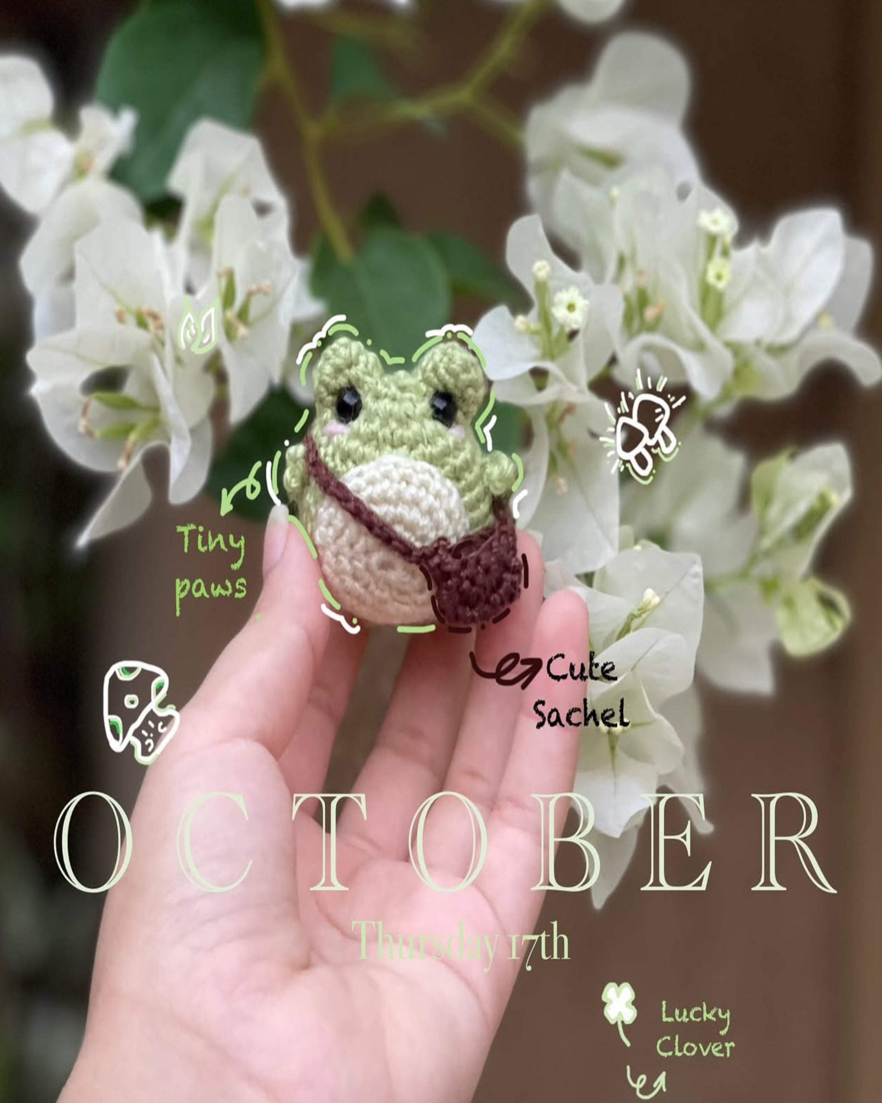Mr frog