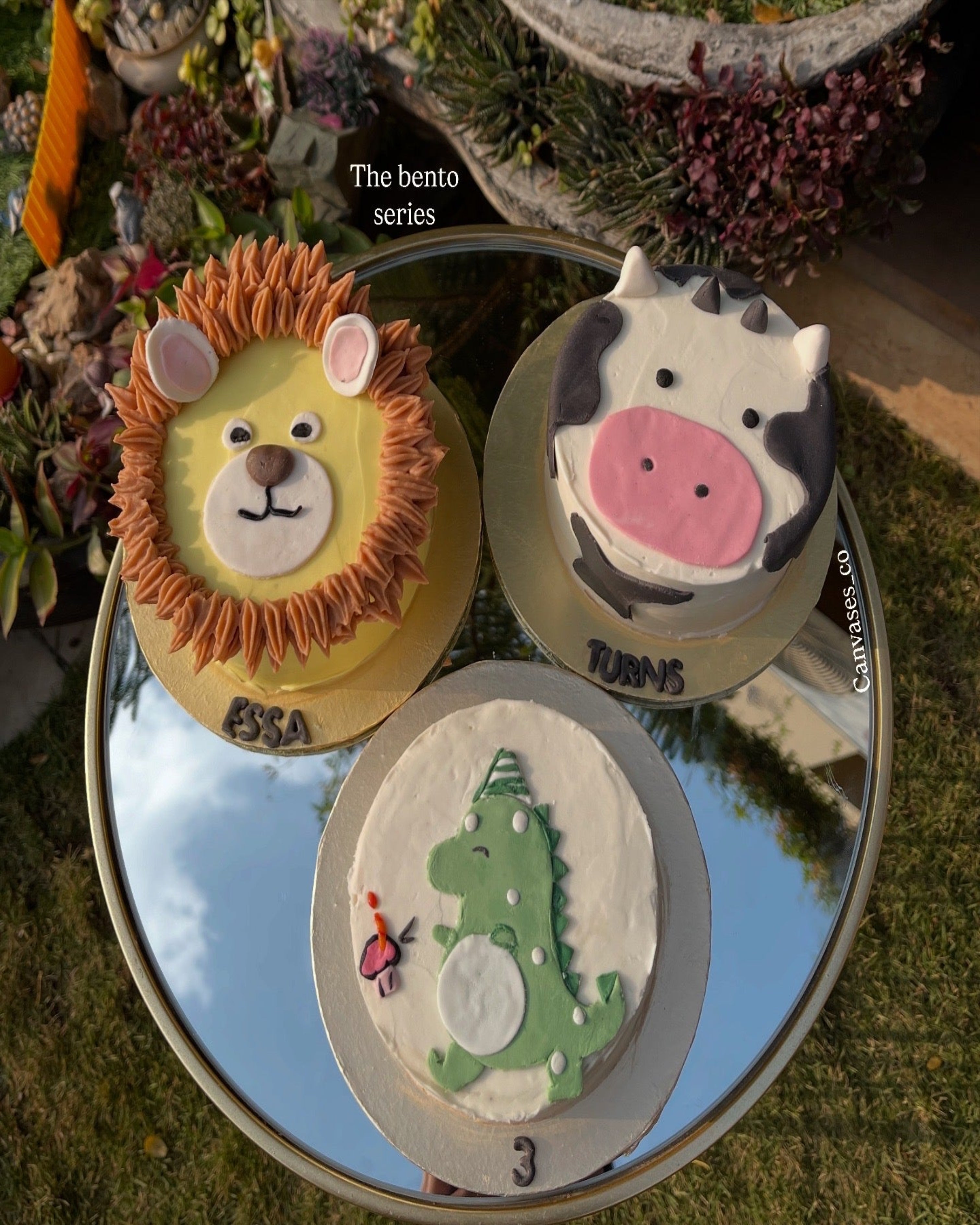 Bento Animal Cakes