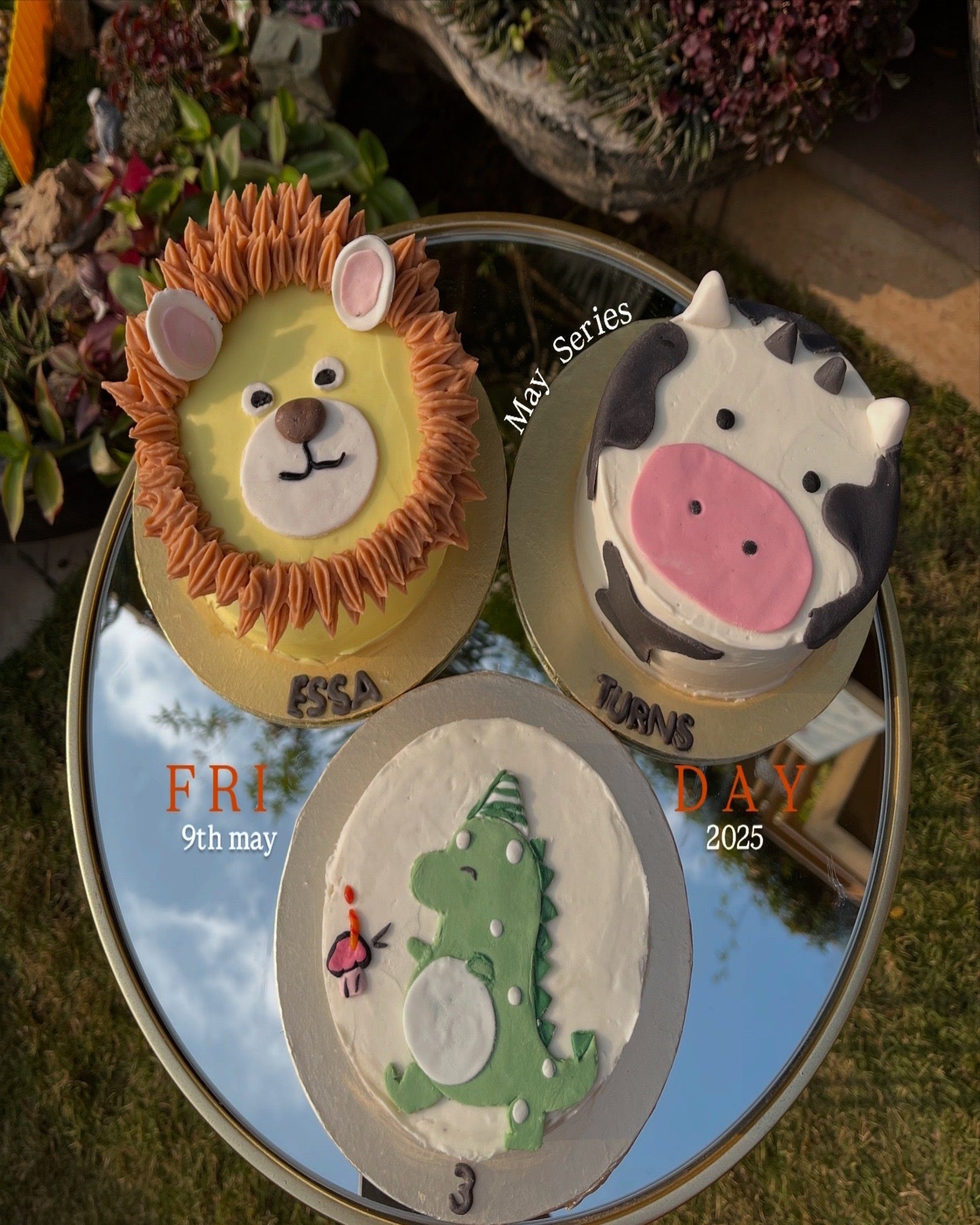 Bento Animal Cakes