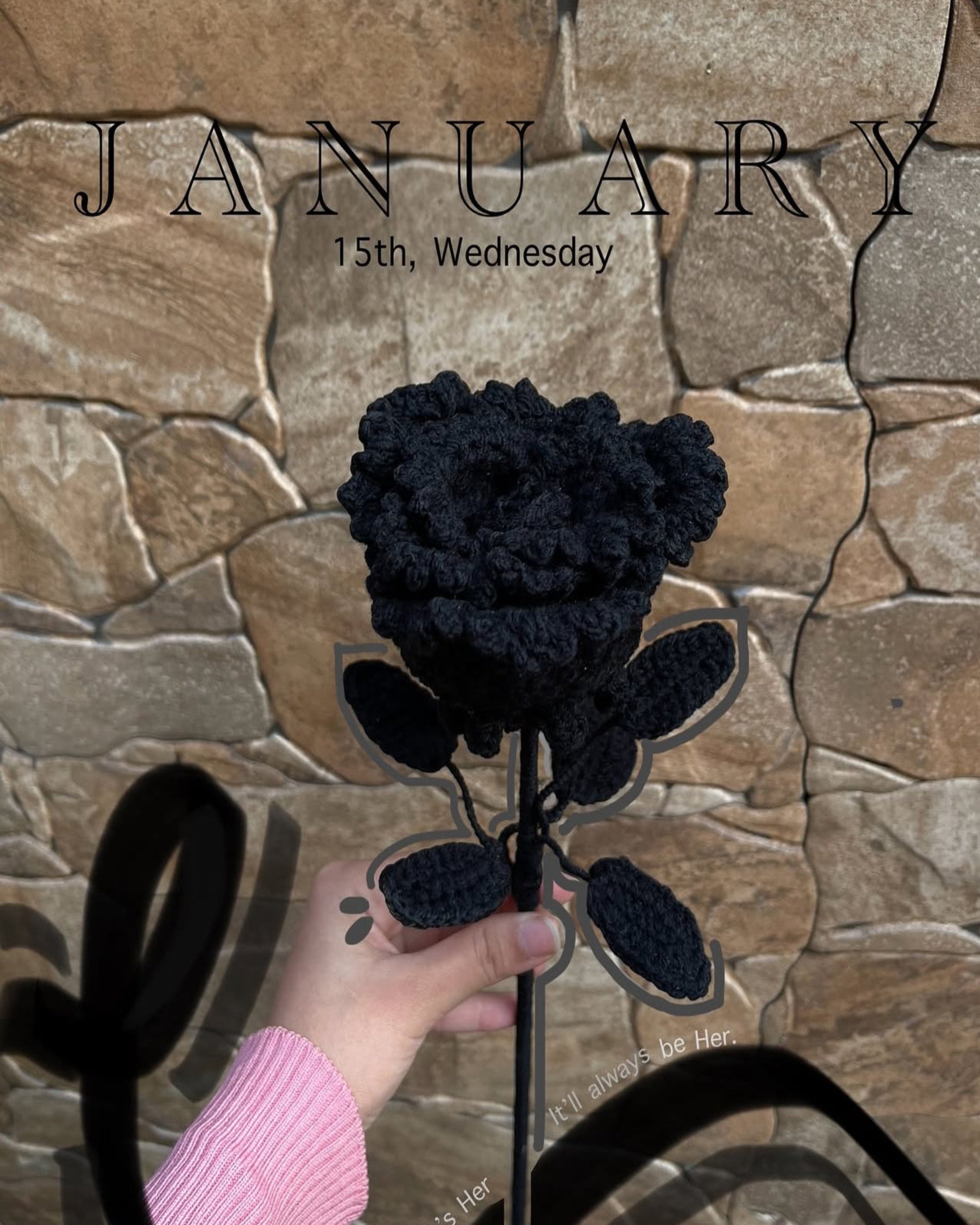 Midnight Rose